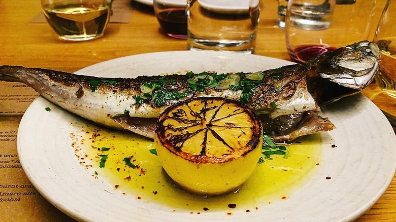 Mackerel in olive oil with citrus at Avec, Chicago, Illinois