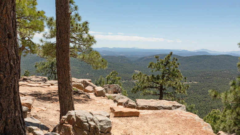 Views of the lower forest and sky as seen from Mogollon Rim, Arizona.