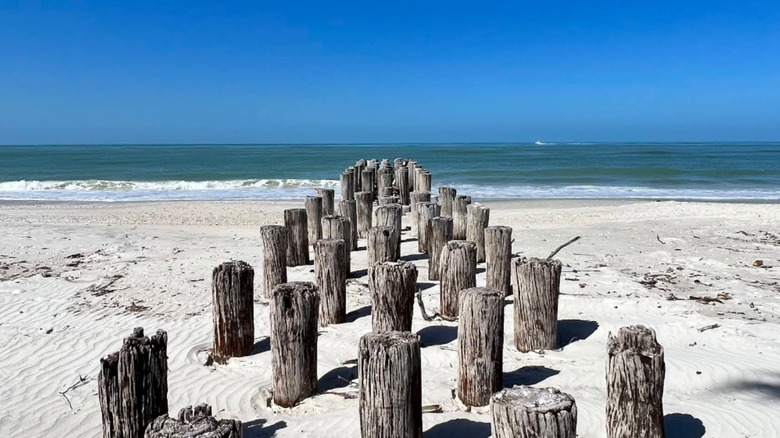 Cerulean beach with white sand and a blue sky with wood coming out of the sand at Aqualane Shores, Florida