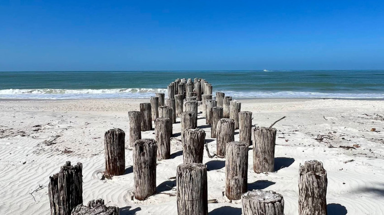 Cerulean beach with white sand and a blue sky with wood coming out of the sand at Aqualane Shores, Florida
