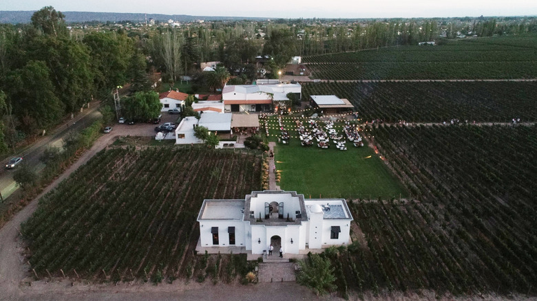 Aerial view of Viamonte Winery, a family-owned vineyard, in Mendoza, Argentina