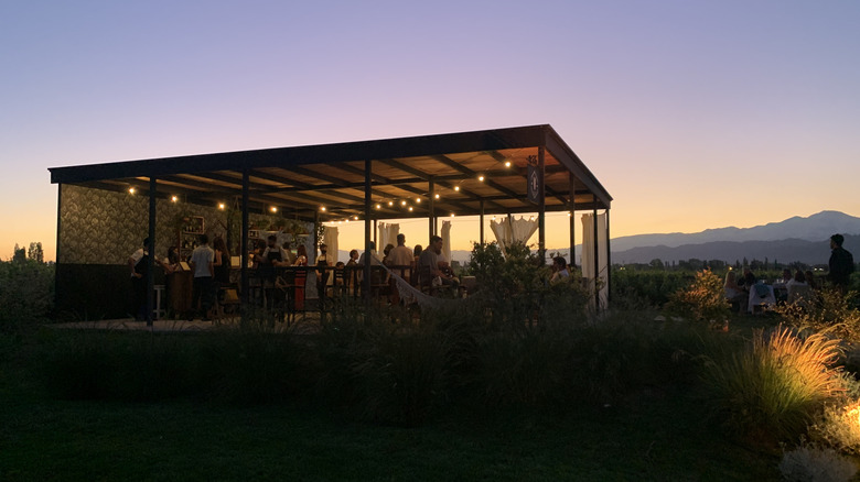 People at an event at Viamonte Winery, a family-owned vineyard, in Mendoza, Argentina, at sunset