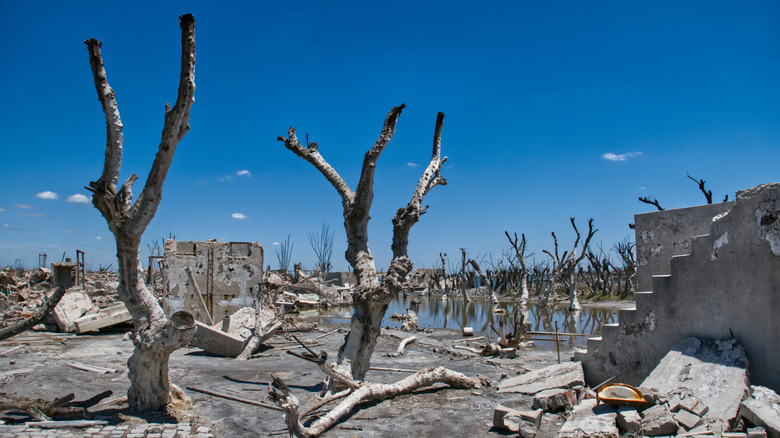The ruins of Villa Epecuén in Argentina with petrified trees