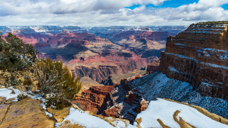 The Grand Canyon in the snow