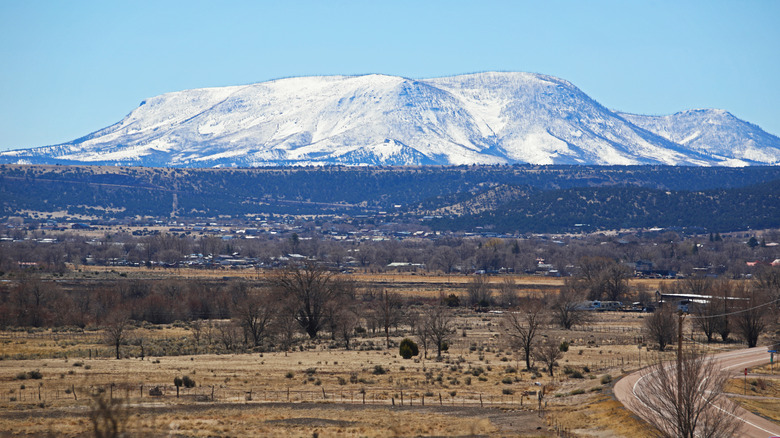 Snow-covered mountain in Springerville, Arizona