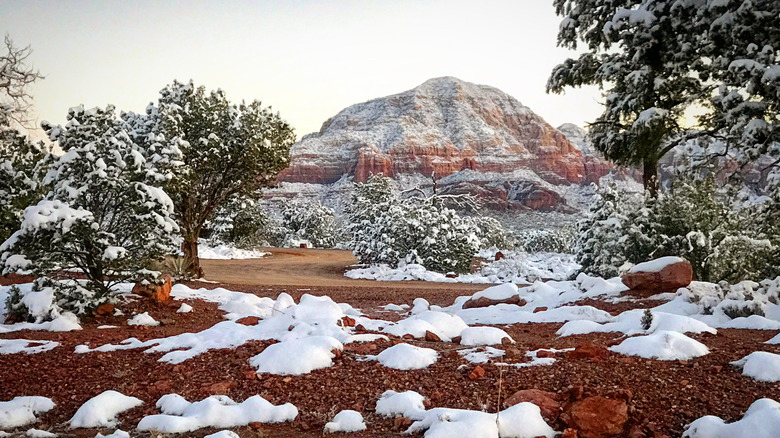 Red rocks and trees in Sedona, Arizona, covered in snow