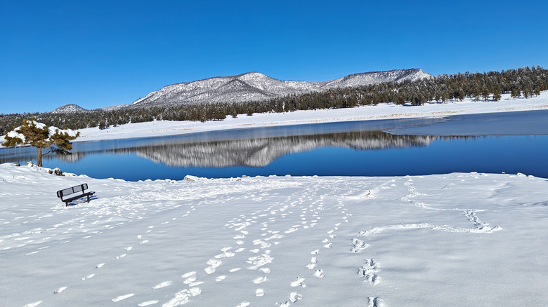 A lake around Alpine