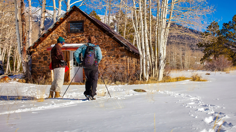 Hikers hiking in Flagstaff