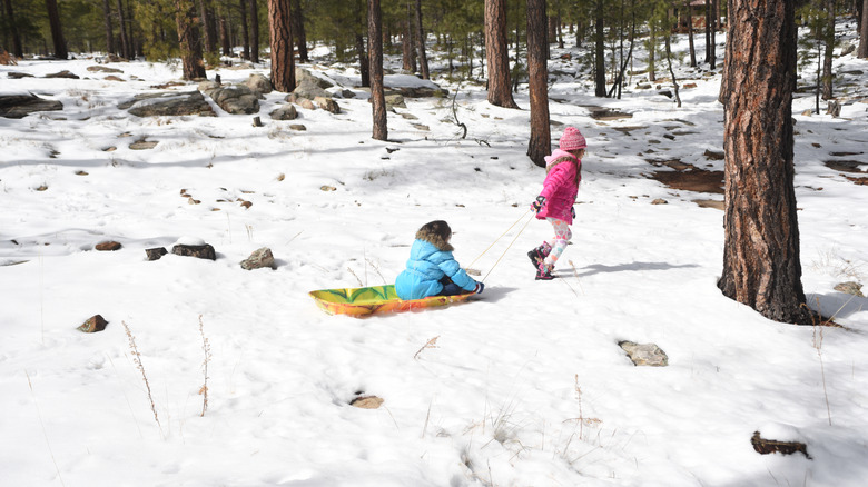 Afamily playing in the snow in Payson