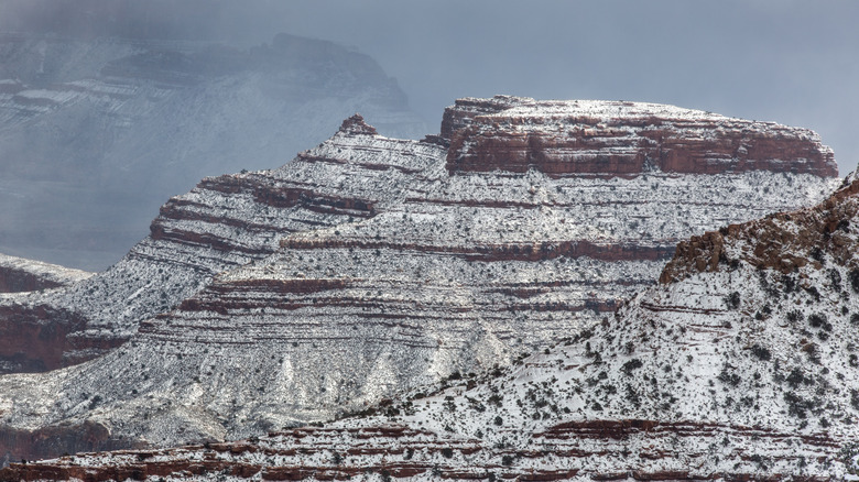 Snow on the South Rom section of Grand Canyon National Park