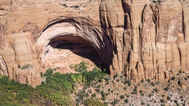 Ancestral Puebloan cliff dwellings built into a large natural alcove at Navajo National Monument in northern Arizona