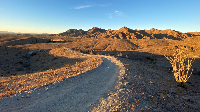 Countryside of Fortuna Foothills with hills in the background and a walking trail in the foreground.