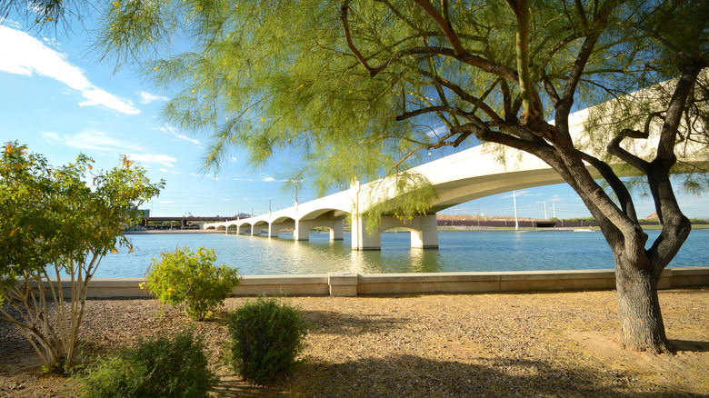 Tempe Beach Park and Mill Avenue Bridge on Tempe Town Lake