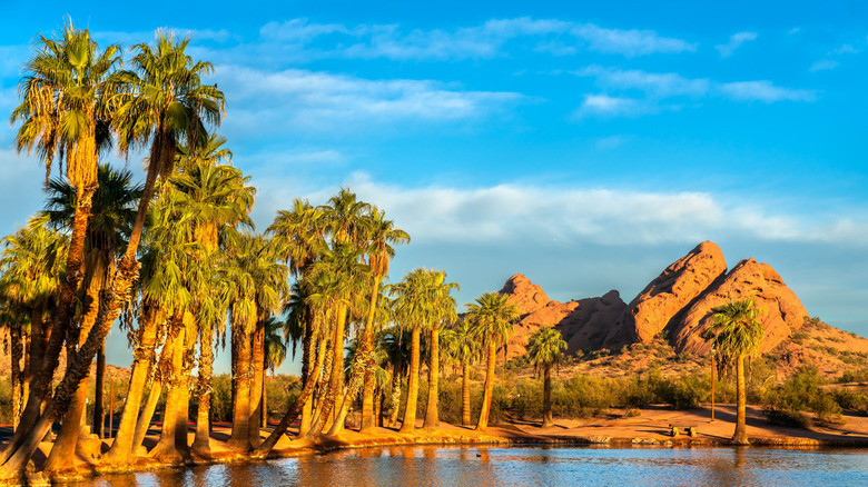 Palm trees and water reflection at an oasis surrounded by desert and mountains in Papago Park, Phoenix, Arizona, United States
