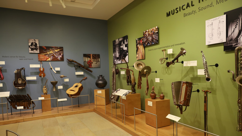 Rudra vina instrument displayed at the Musical Instrument Museum