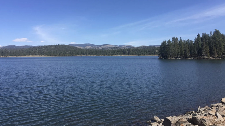 hawley lake's blue waters and wooded shoreline in arizona's white mountains