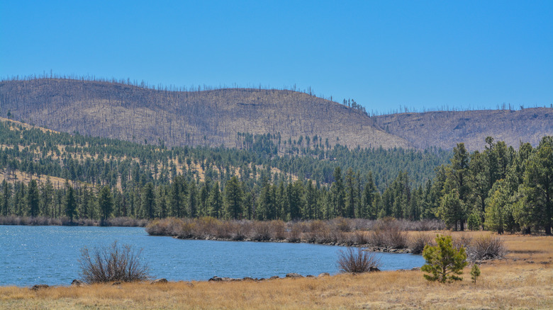 A highland lake tucked between rolling peaks in Arizona's white mountains