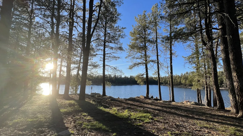 a sunny morning on the wood canyon lake in arizona's white mountains