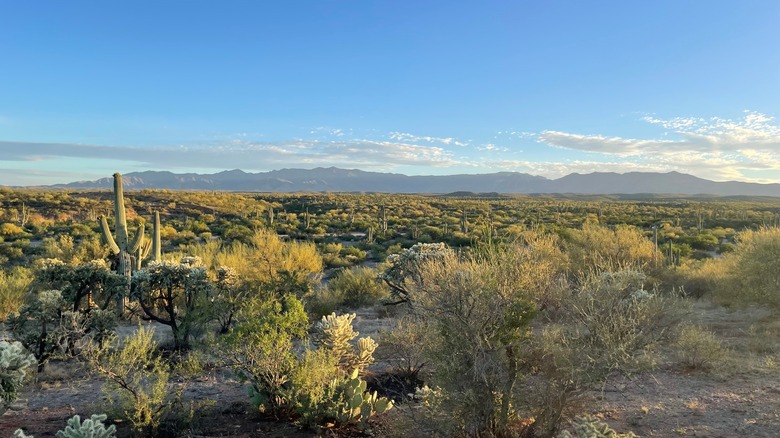 picture of greater San Manuel Arizona outside of Tucson