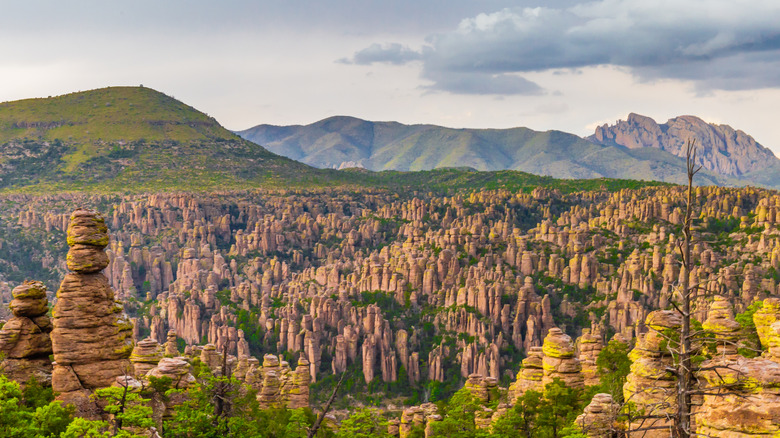 The Chiricahua National Monument near Sunsites, Arizona