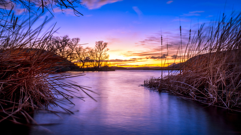 Sunrise reflects over a lake near Patagonia, AZ