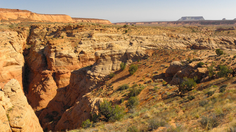 A view of the entry to Cardiac Canyon