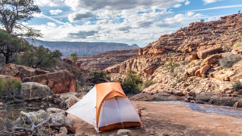A tent pitched in a desert landscape in Arizona