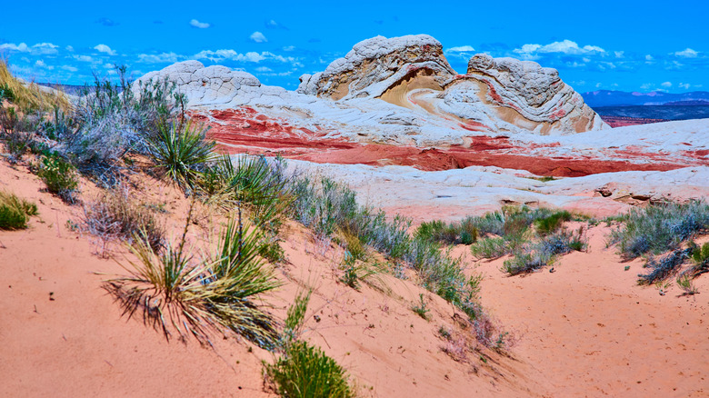 Vermilion Cliffs National Monument