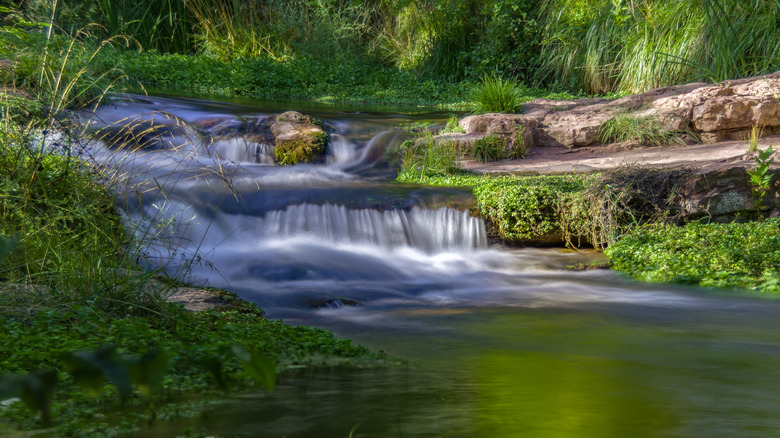 stream flowing over terraces