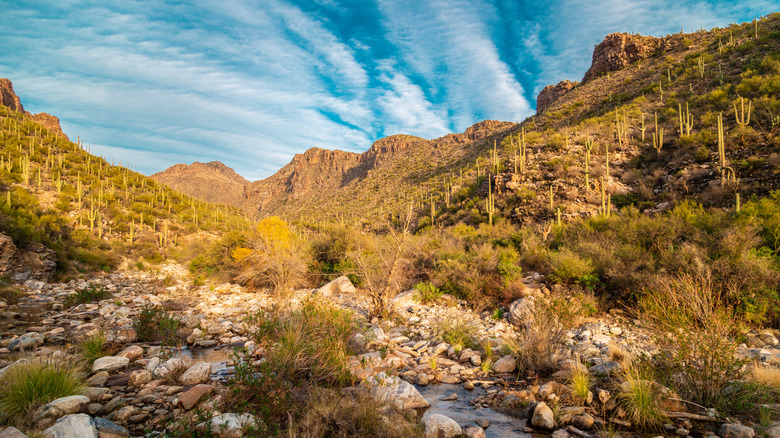Trail in Sabino Canyon, Tucson