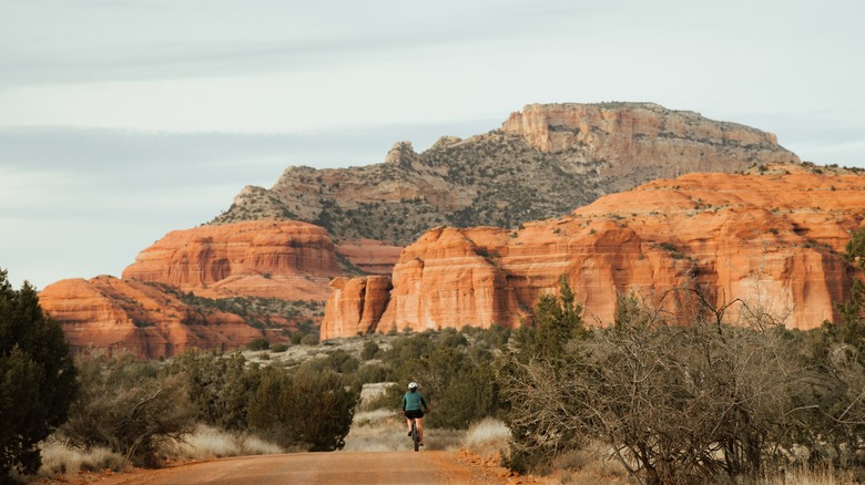 Mountain biker on Forest Road 525 at sunset in Sedona, Arizona