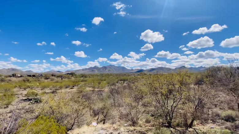 View of mountains from back yard in Corona de Tucson