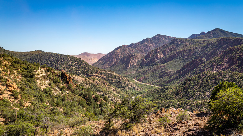 Coronado Trail National Scenic Byway