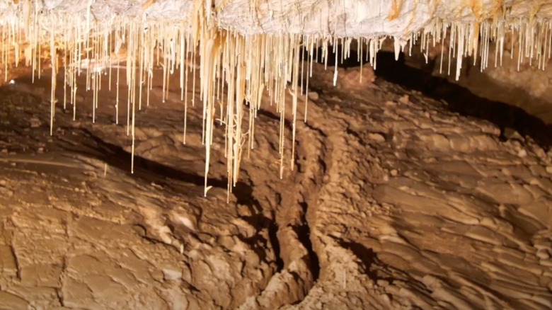 Striking elongated rock formations in Kartchner Caverns