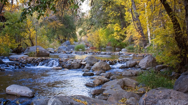 Oak Creek with yellow aspens