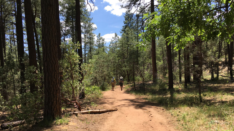 Hikers on the Horton Creek Trail near Payson, Arizona