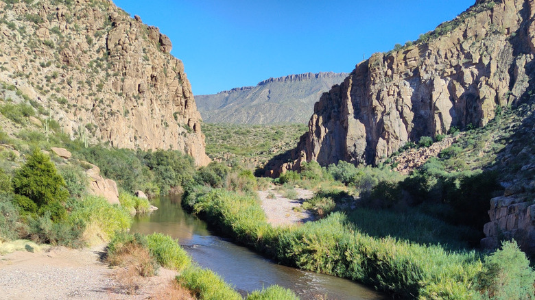 A river winds between tall cliffs in the desert