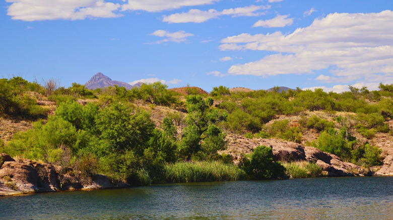 Green shrubs cover the rocky banks of Patagonia Lake with blue skies and calm water.