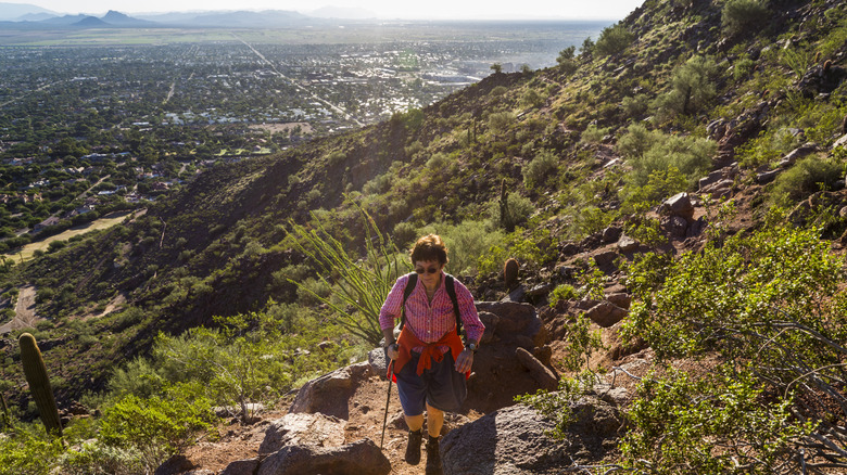 A hiker on the Cholla Trailhead