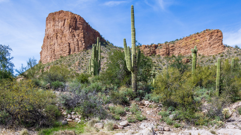 Beautiful Sonoral Desert landscape in Tortilla Flat, Arizona along the historic Apache Trail.