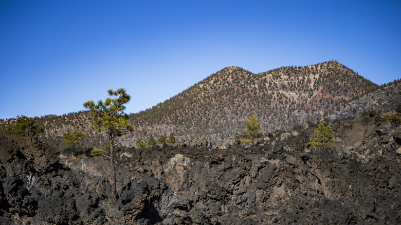 Inactive cinder cone volcano in Sunset Crater Volcano National Monument under a blue sky in Arizona
