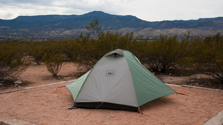 Tent at a campsite in Dead Horse Ranch State Park