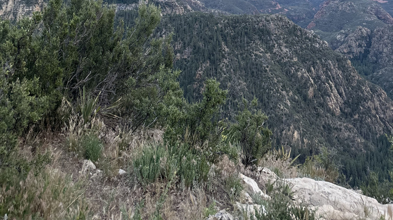 cliff views near Flagstaff and Sedona, Arizona