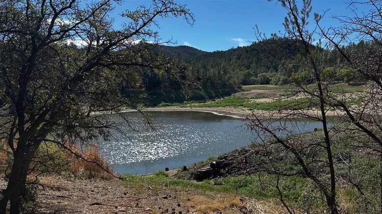 Lake and trees at Lynx Lake Recreation Area