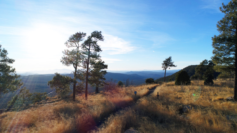 The Mogollon Rim in Northeastern Arizona