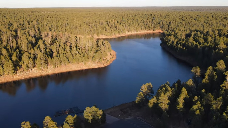 Forest Lakes, Arizona water and trees