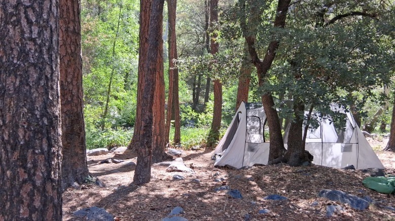 Tent at Manzanita Campground