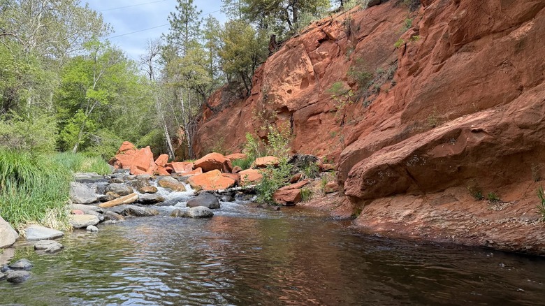 Oak Creek near Manzanita Campground in Arizona