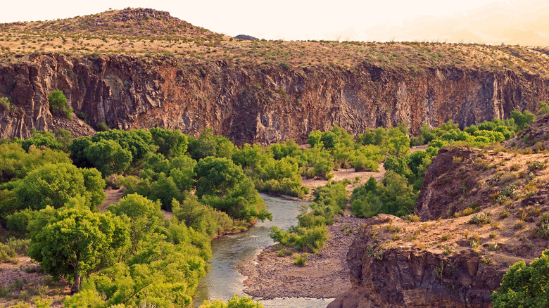 An aerial view of the Gila River trickling through forest and cliffs