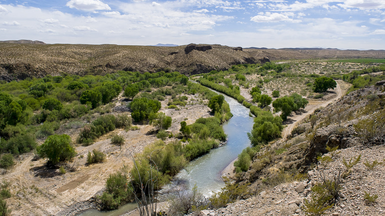 An overhead view of the Gila River flowing through a tree-studded desert on a bright day